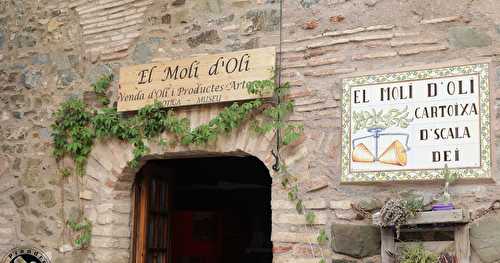 Dégustation d'huiles d'olive au moulin Miro Cubells - Cabacés