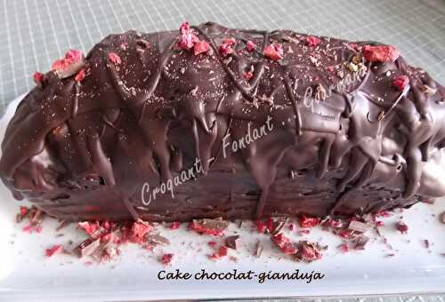 Cake chocolat-gianduja