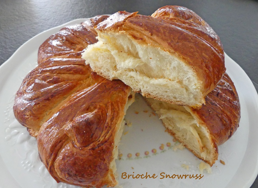 Brioche Snowruss *