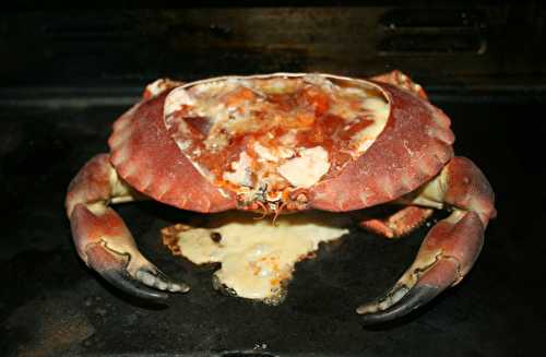 Crabe tourteau (dormeur) à la plancha