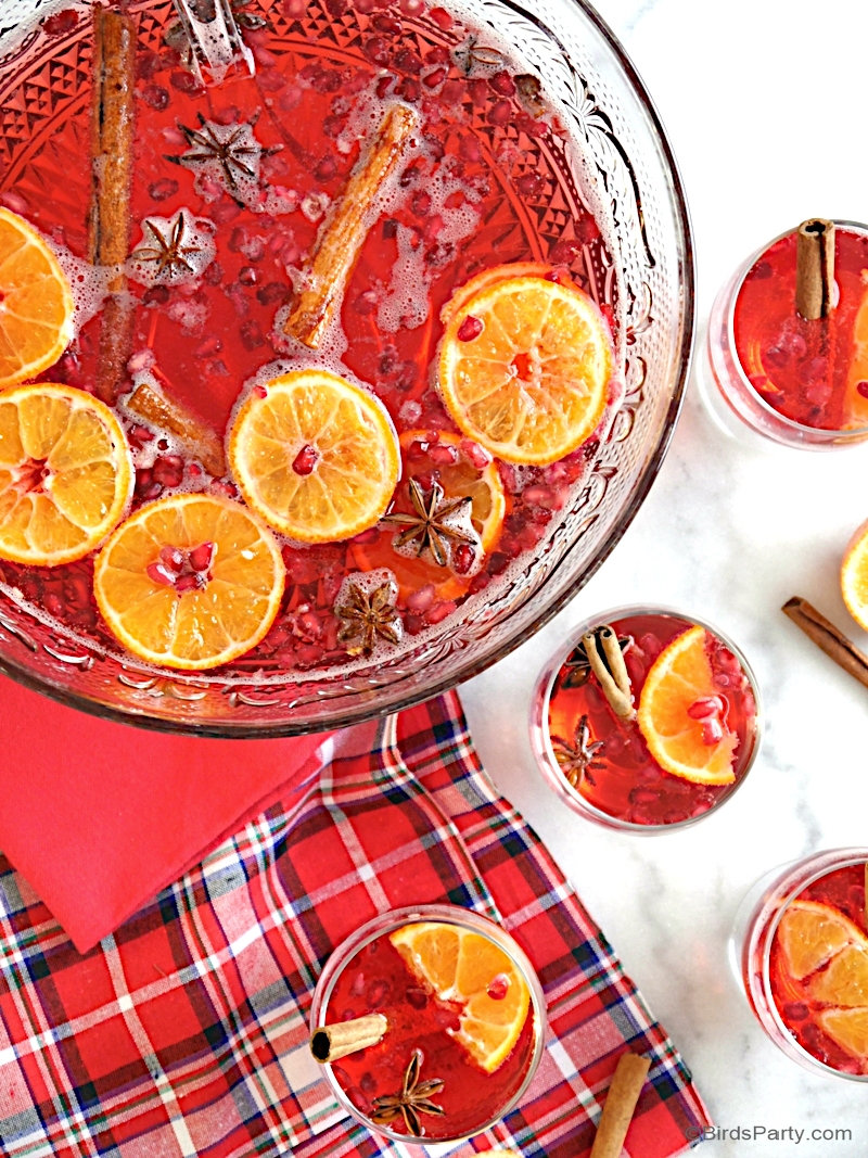 Recette de Punch à la Vodka et aux Canneberges