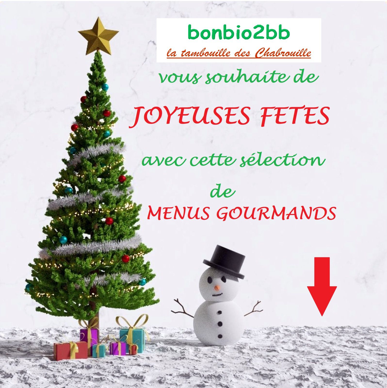 Joyeuses Fêtes 2024 !