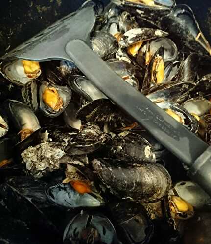 Moule marinières