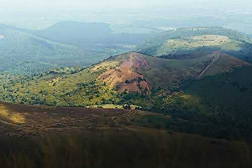 Spécialités d’Auvergne : guide de dégustation et cuisine du terroir