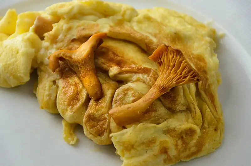 Omelettes aux girolles