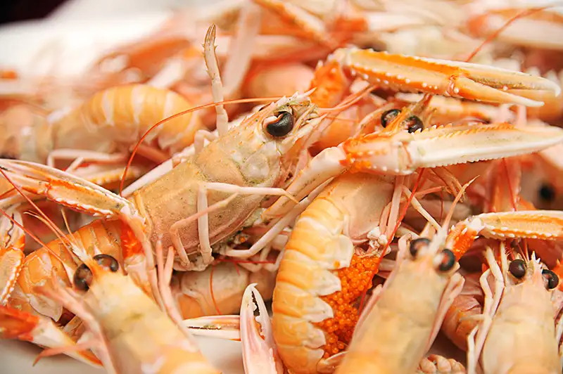 La langoustine en cuisine