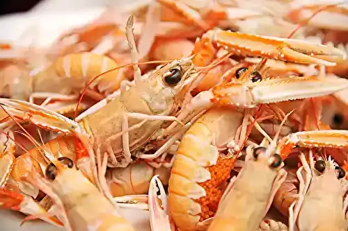 La langoustine en cuisine