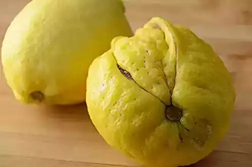 Crème de citron
