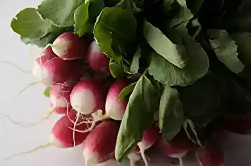 Fanes de radis : cette fois, on les utilise vraiment !