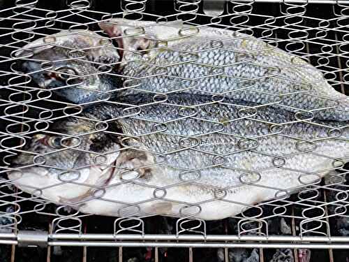 Dorade en portefeuille au barbecue