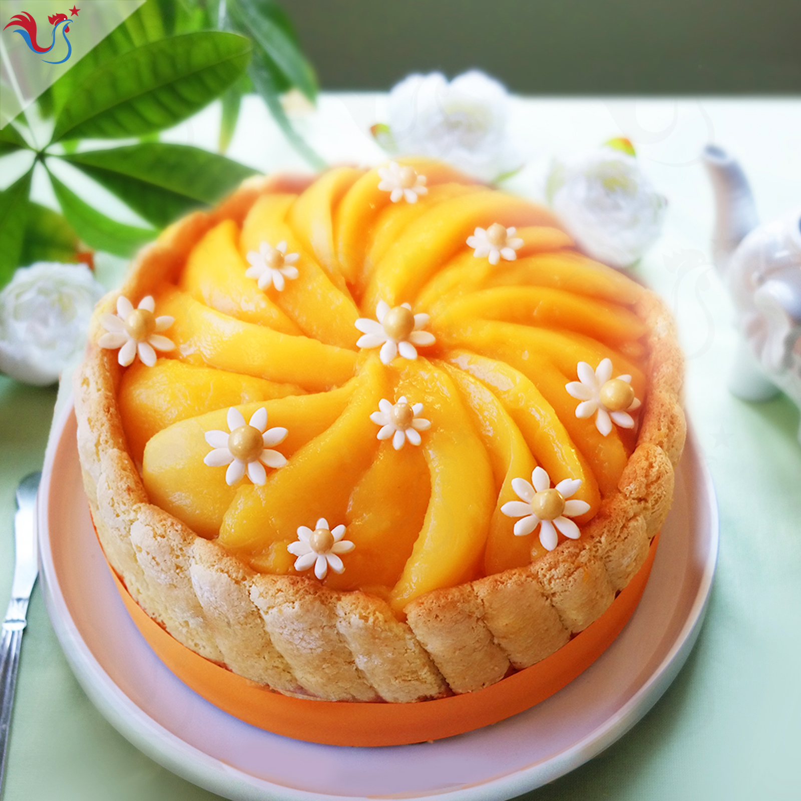 La Charlotte Mangue Coco