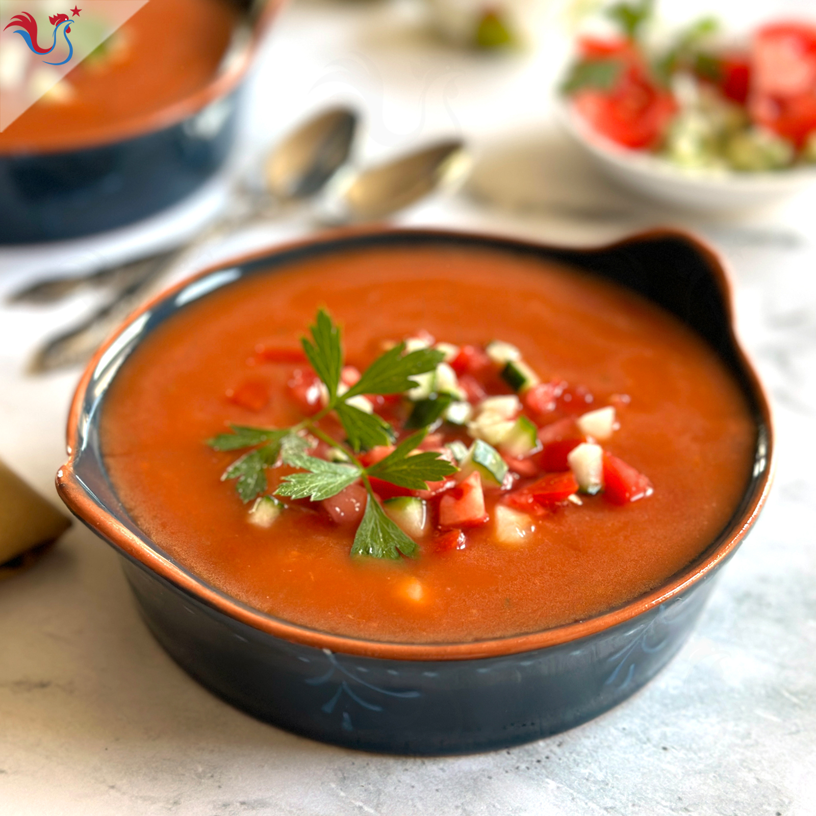 Le Gaspacho Espagnol (potage froid)