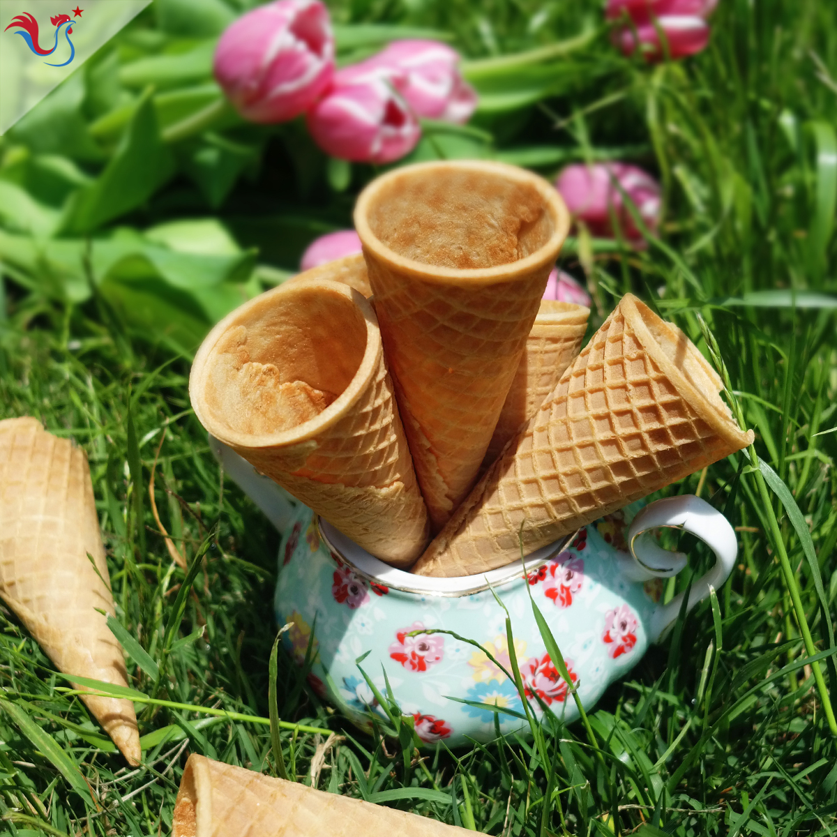 Les Cornets à Glace de M.O.F Stéphane Tréand