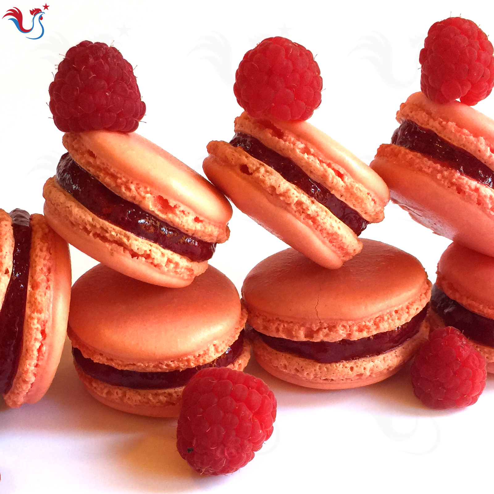 Les Macarons à la Framboise de Christophe Felder