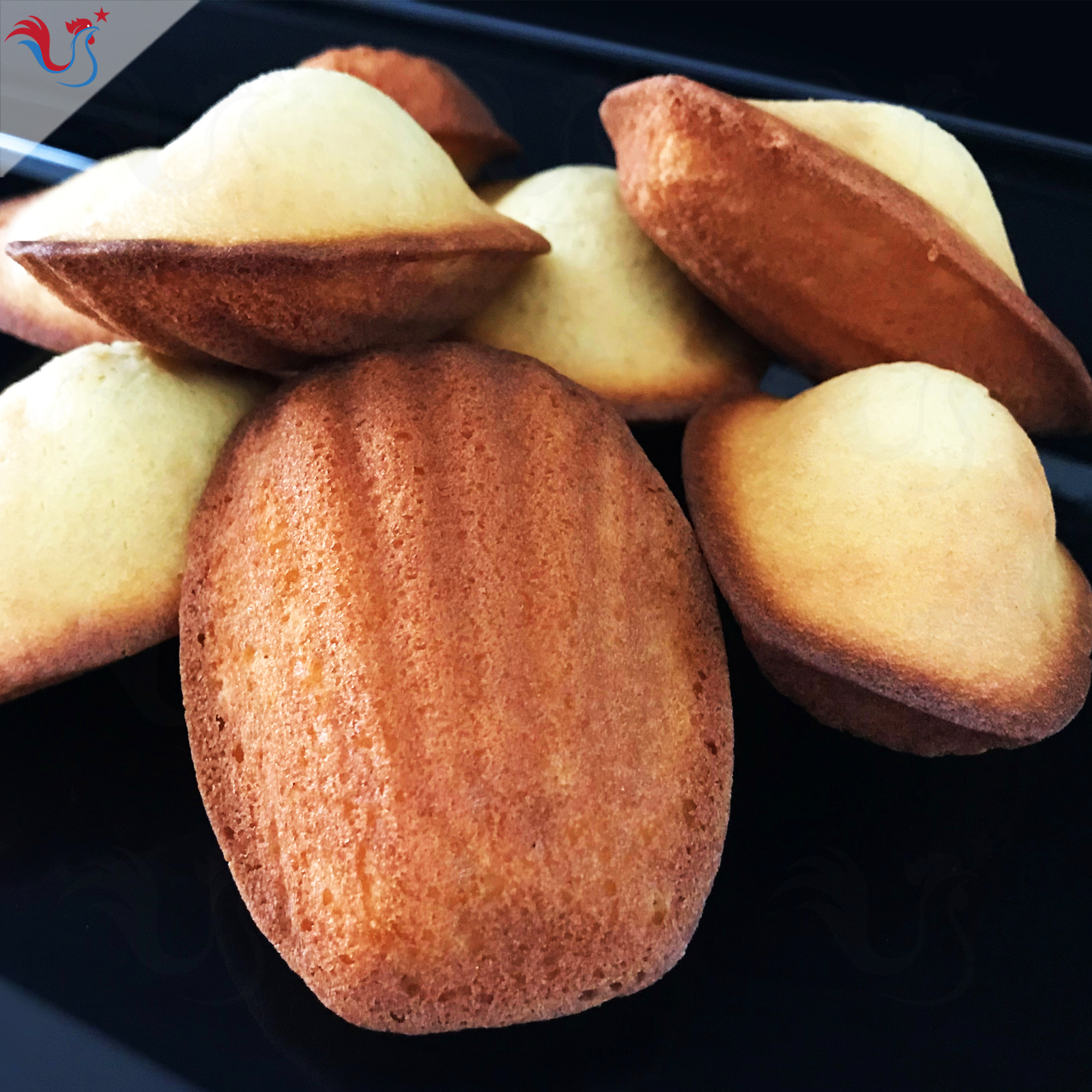 Les Madeleines au Citron de Philippe Conticini