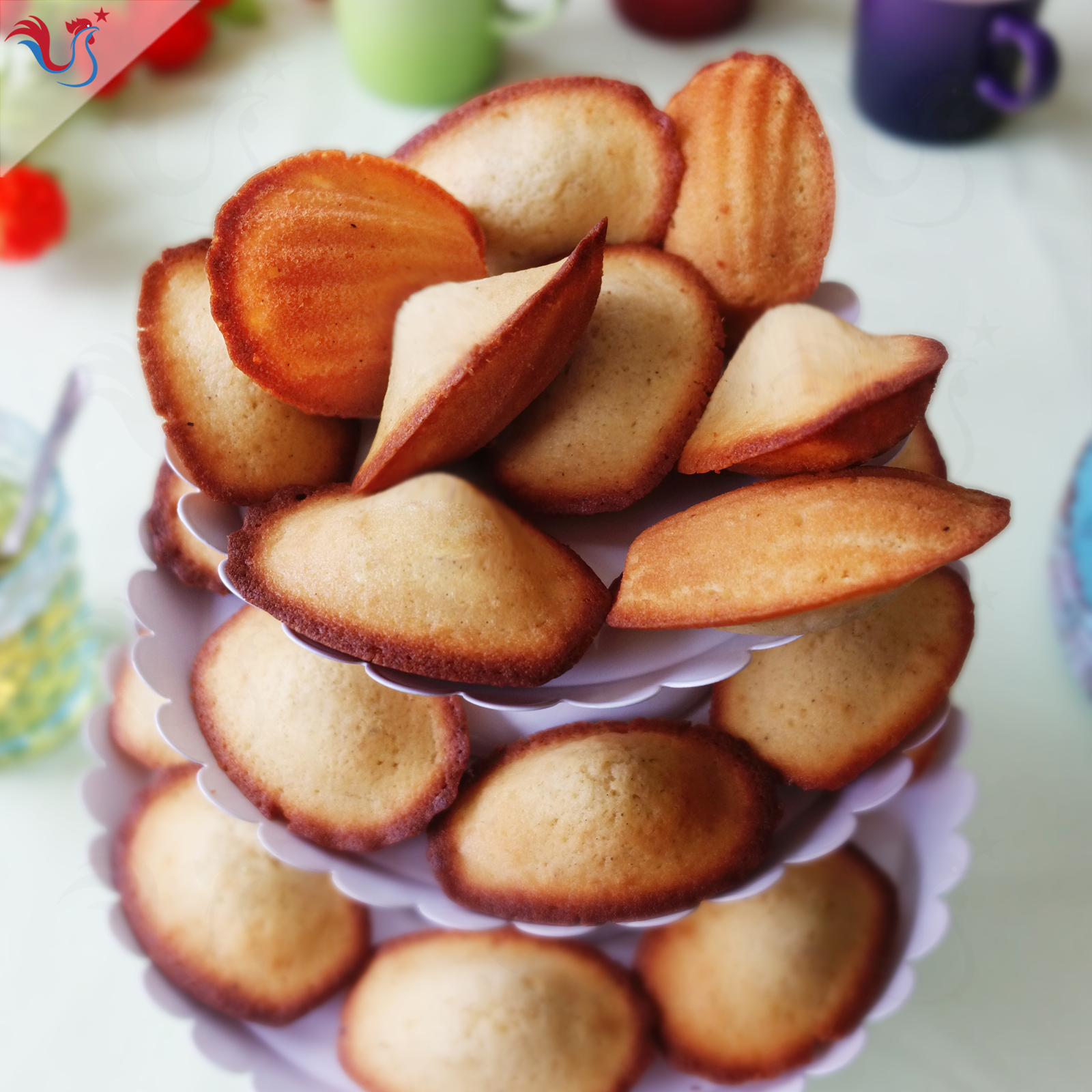 Les Madeleines Vanille de Lenôtre