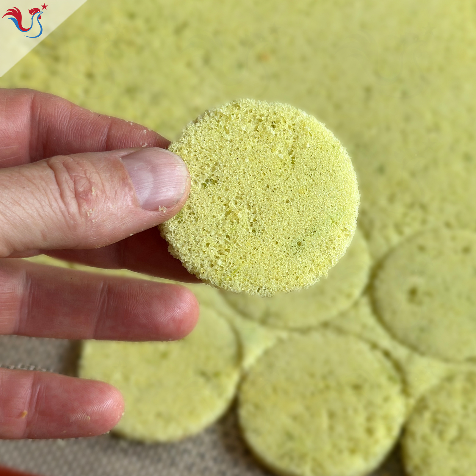 Le Biscuit Citron Vert rapide