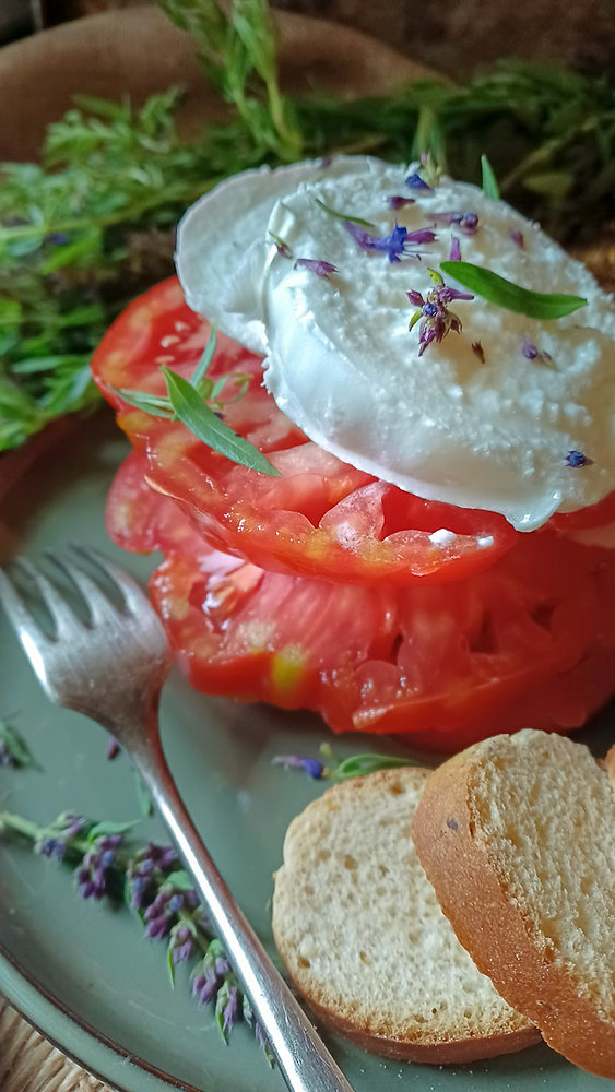 Tomate mozzarella à l'hysope