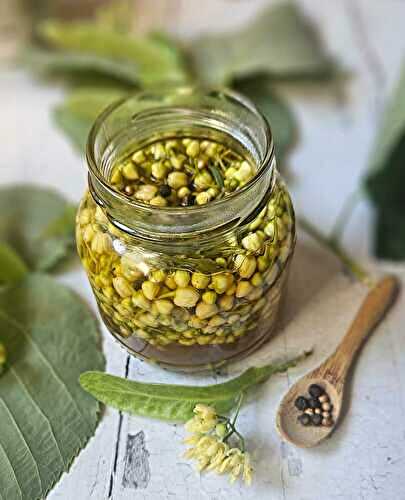 Préparez vos propres câpres de fleurs de tilleul : un délice de début d'été !