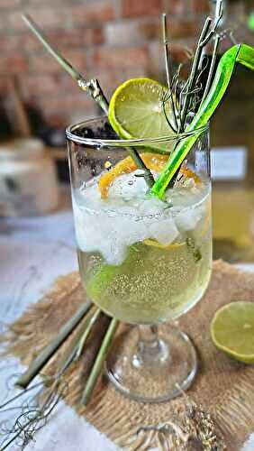 Cocktail Sauvage : Gin au Fenouil sauvage & Citron pétillant