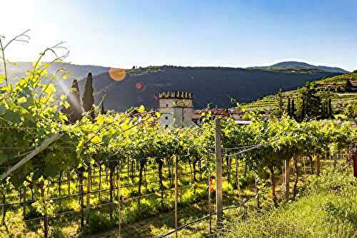 Les vins du Gers & leurs accords gourmands