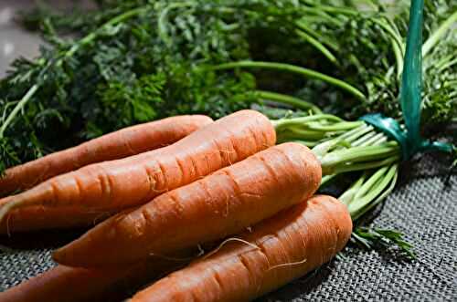 Zoom sur la Carotte : Reine des Jardins et des Marmites