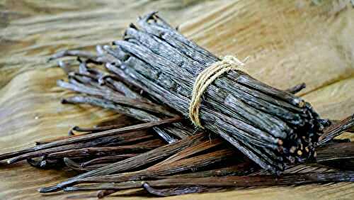 Zoom sur la vanille : trésor parfumé et astuces antigaspi
