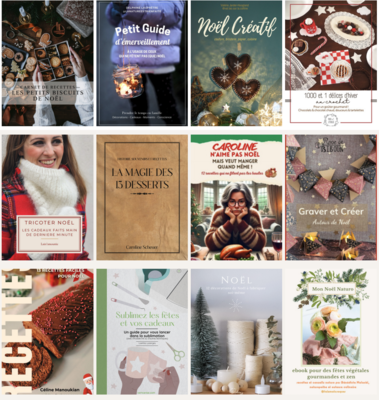 Recettes riches + recettes à IG bas pour Noël + 32 autre ebooks = 22