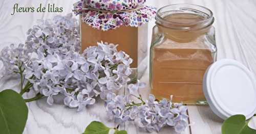 Gelée de fleurs de lilas et autres recettes avec du lilas ...