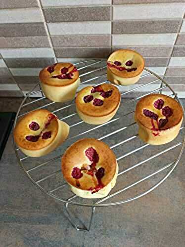 Petits gâteaux aux framboises avec combi Ninja