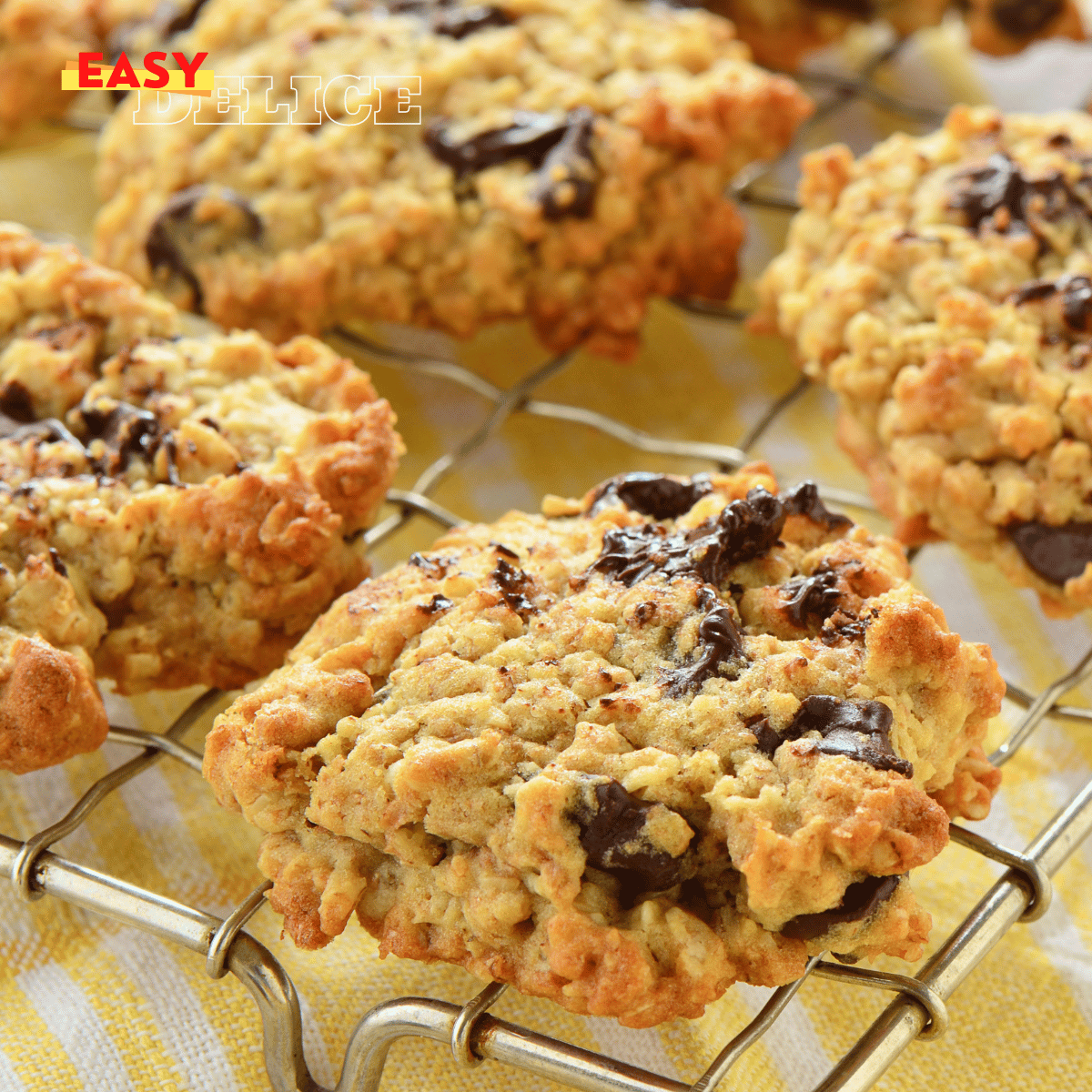 Galettes à l'Avoine et aux Pépites de Chocolat à la Friteuse à Air Chaud (Air Fryer)