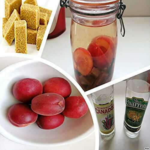 Guide complet rhum arrangé maison : recettes, astuces et macération