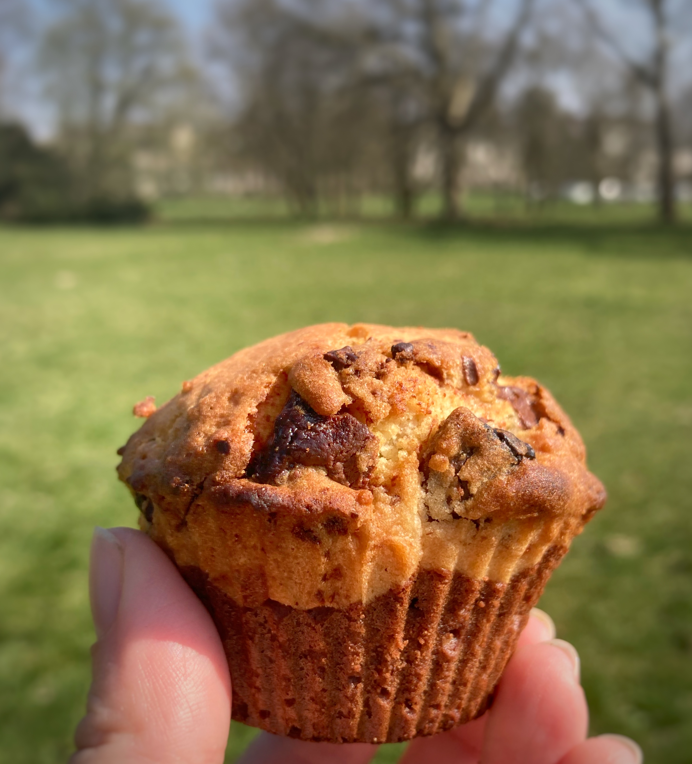 Muffins brookie fondants