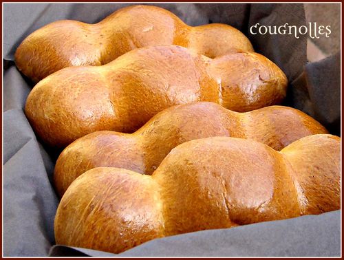 Cougnous ou Cougnolles brioche belge de noël