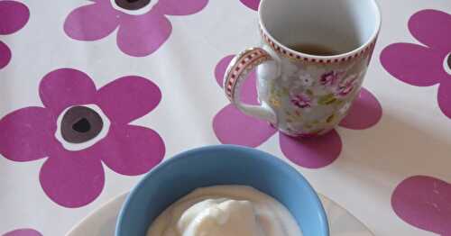 Glace yaourt-citron onctueuse et rafraîchissante
