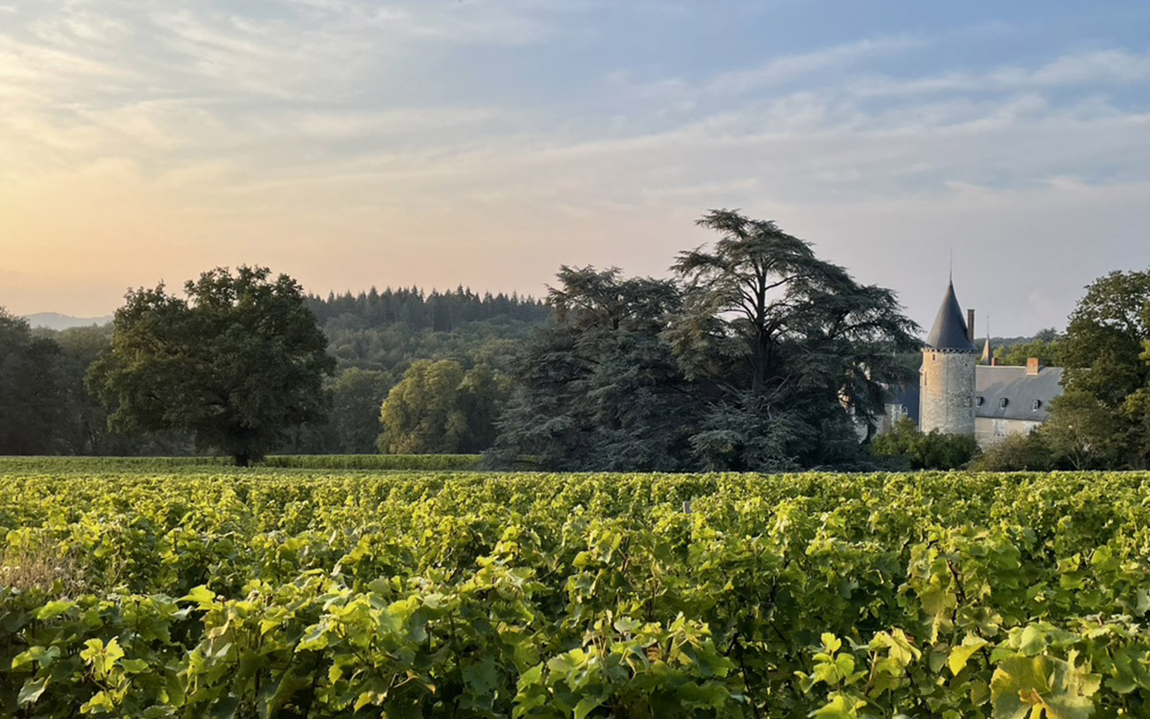 Château de Tracy (Vins Pouilly-Fumé)