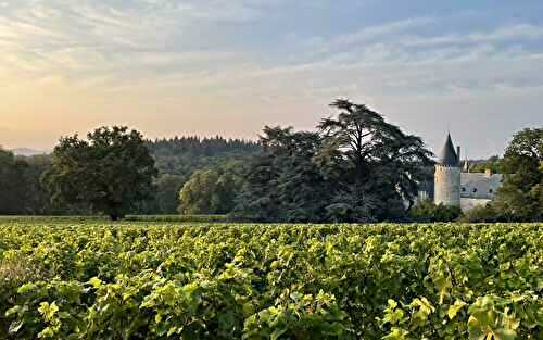 Château de Tracy (Vins Pouilly-Fumé)