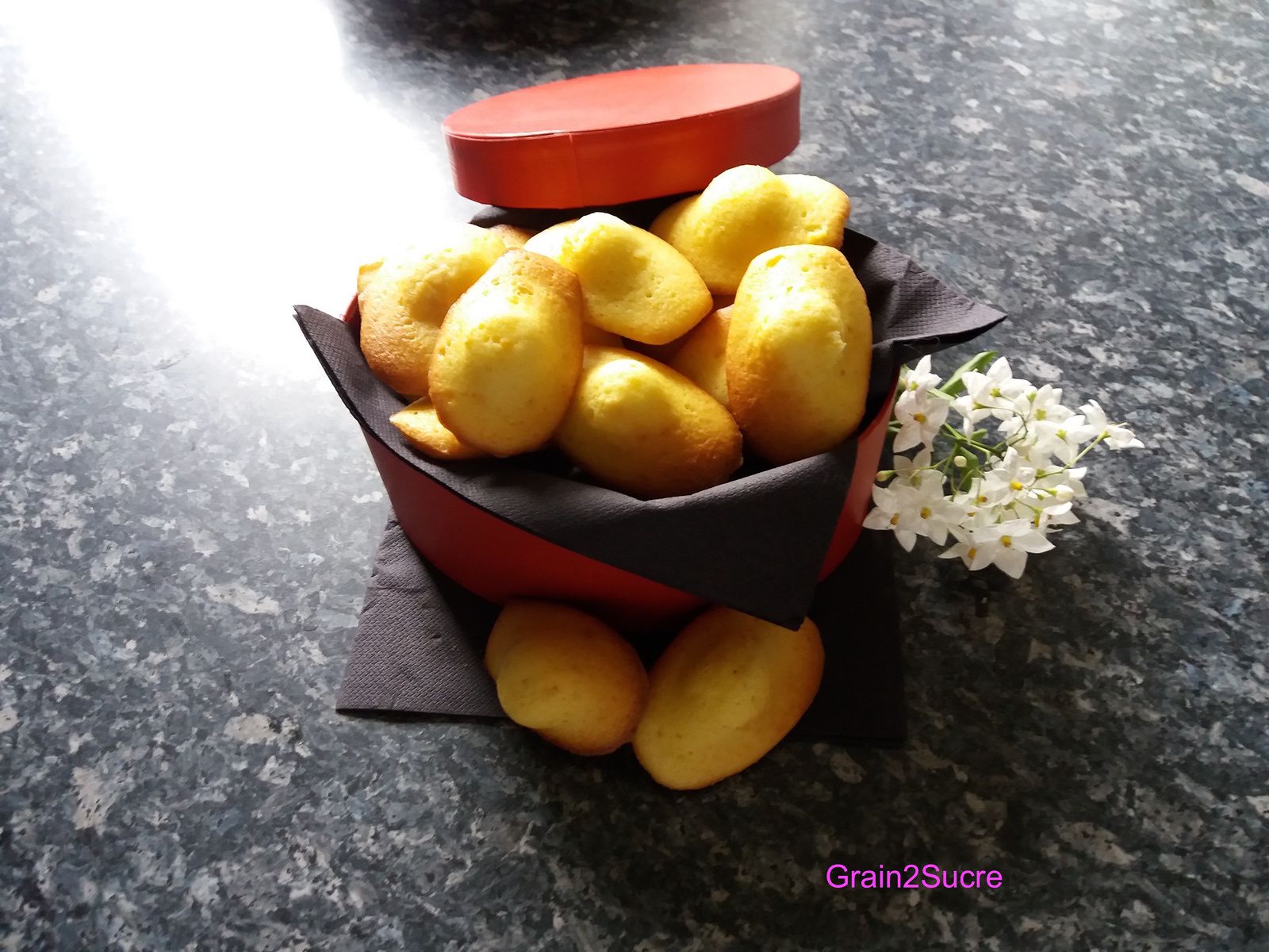 Madeleines  Au Miel