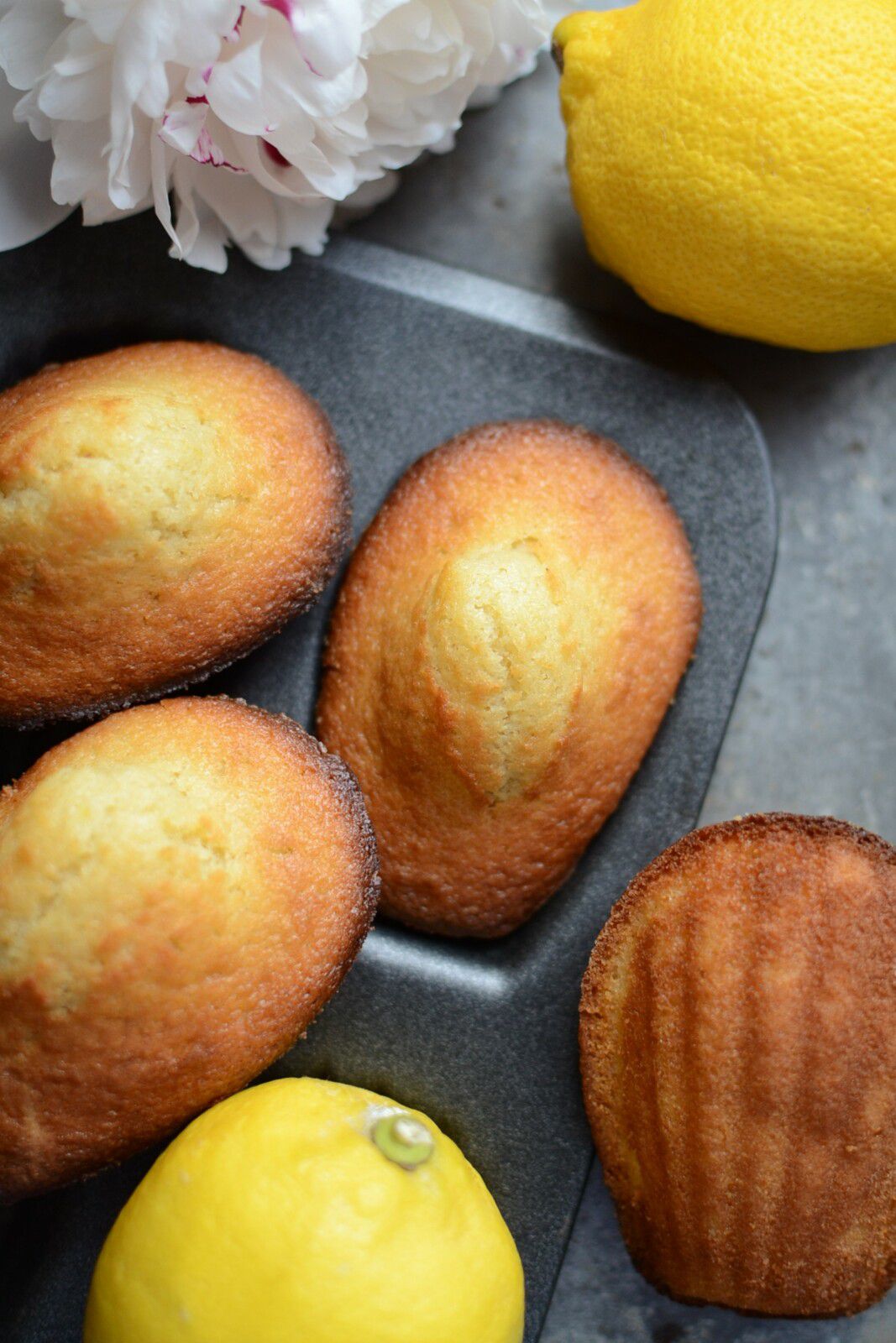 Madeleines au citron