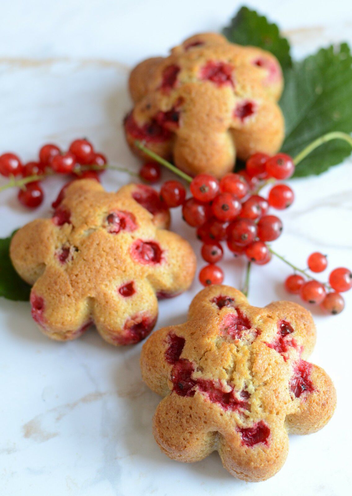 Madeleines fleurs aux groseilles