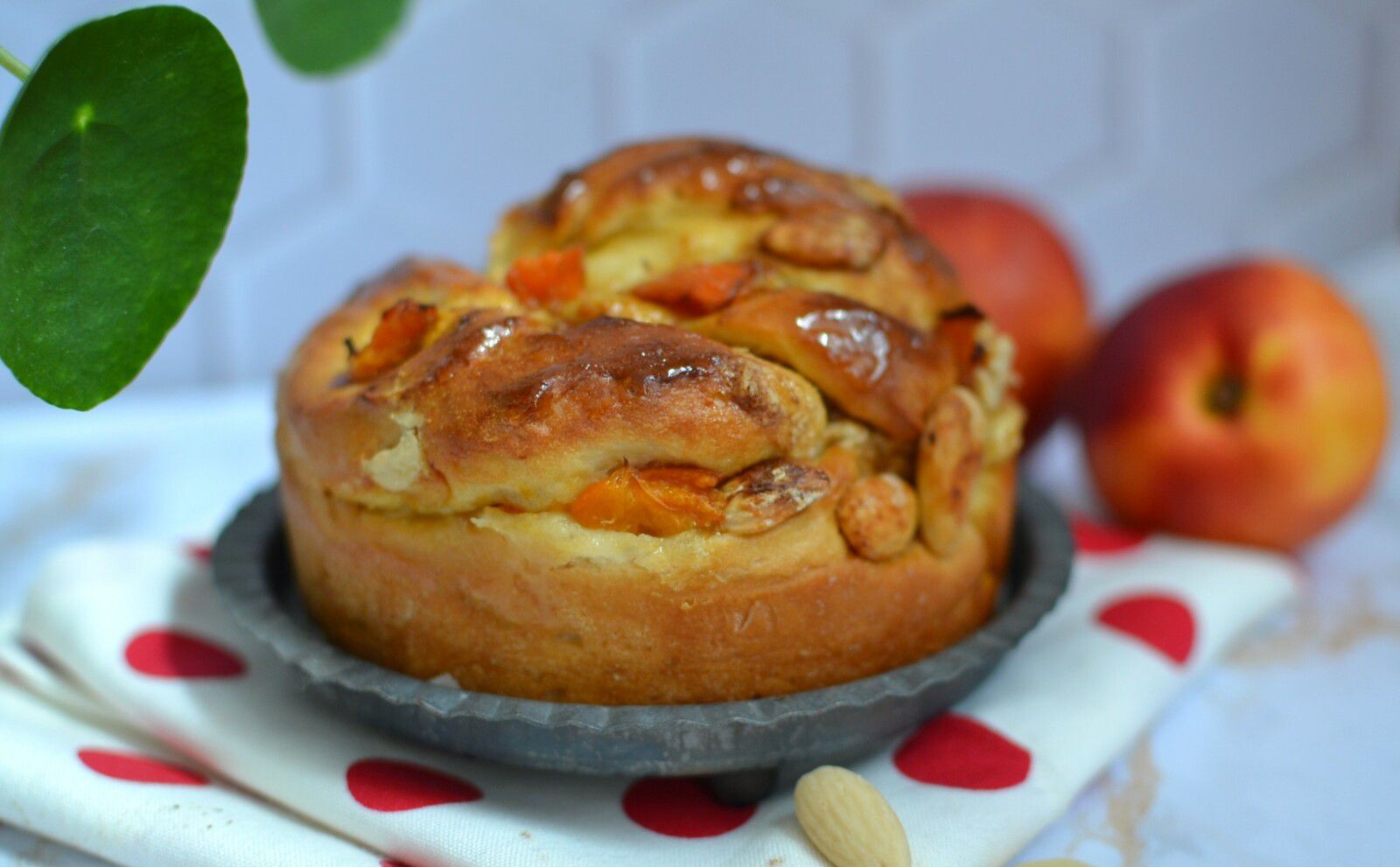 Brioche tressée amandes et abricots frais