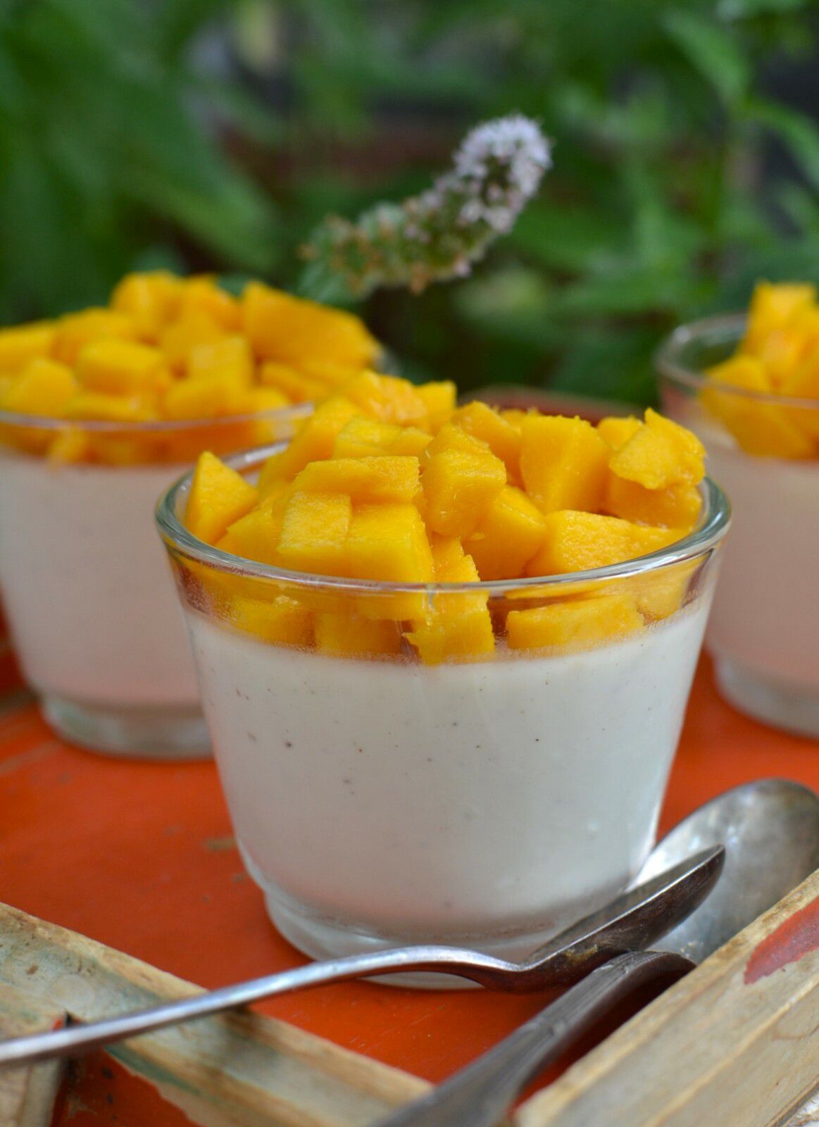 Panna cotta à la mangue fraiche