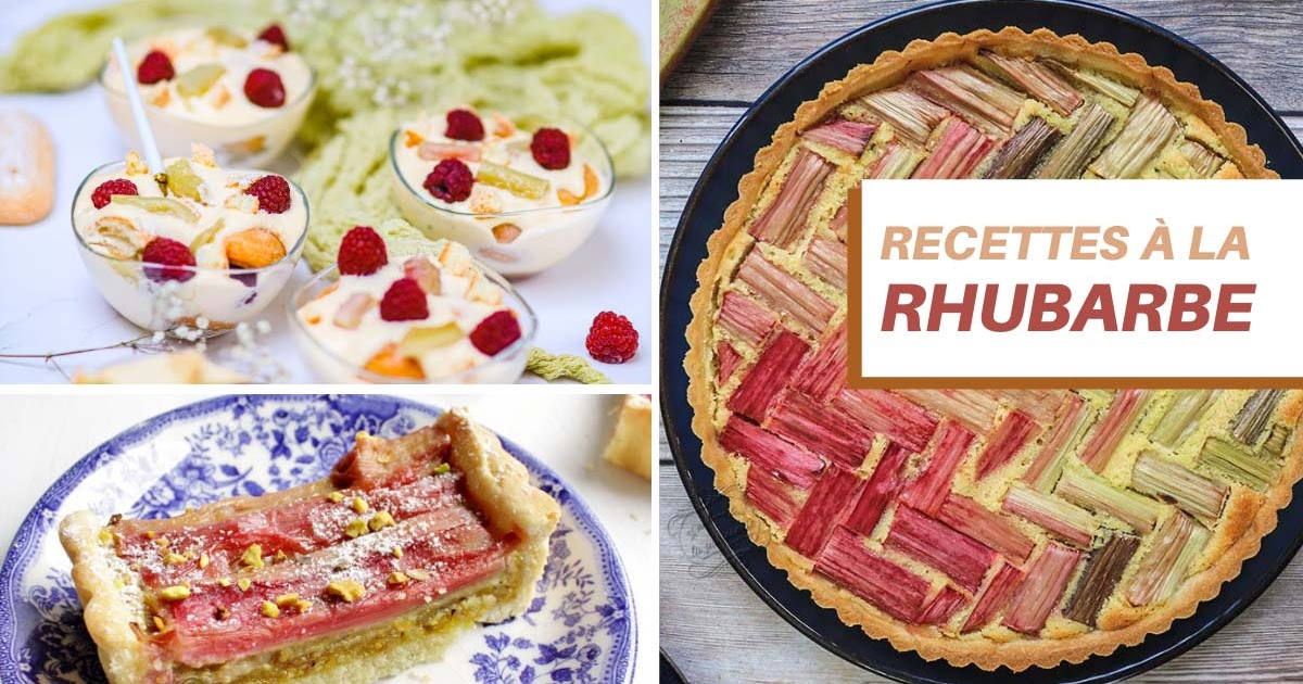 Que faire avec de la rhubarbe ? 10 recettes desserts pour se régaler