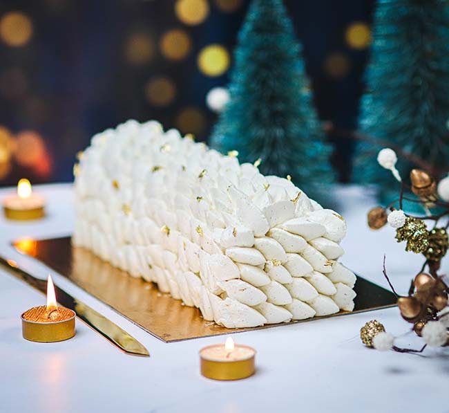 Bûche vanille et praliné - Ma plus belle bûche de Noël !