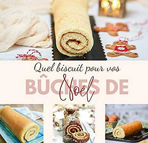 Quel biscuit choisir pour vos bûches roulées ? On compare tout !