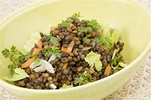Salades de Lentilles aux Graines