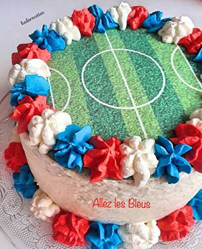 Layer Cake Terrain de foot (Allez les Bleus)