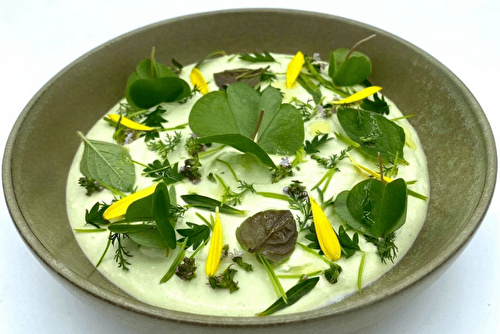 Crémeux de chèvre frais aux herbes