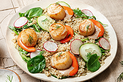 Salade de quinoa, concombre, coquilles Saint-Jacques de Normandie et vinaigrette citronnée