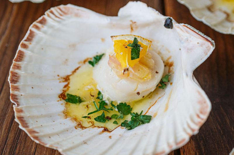 Coquilles Saint-Jacques au Noilly Prat